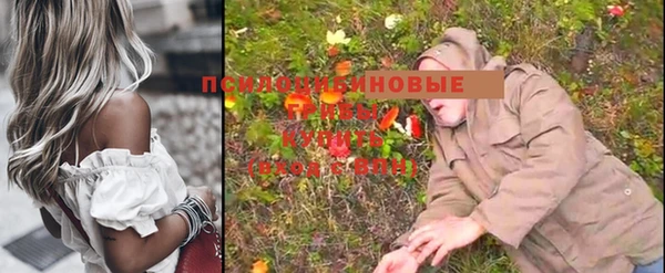 амф Алексеевка