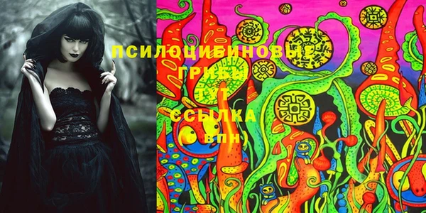 сатива Алексин