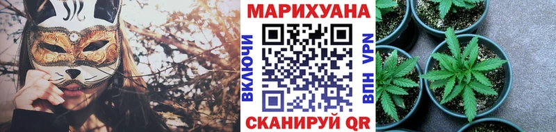 OMG ссылка купить цена Чердынь Бошки Шишки планчик